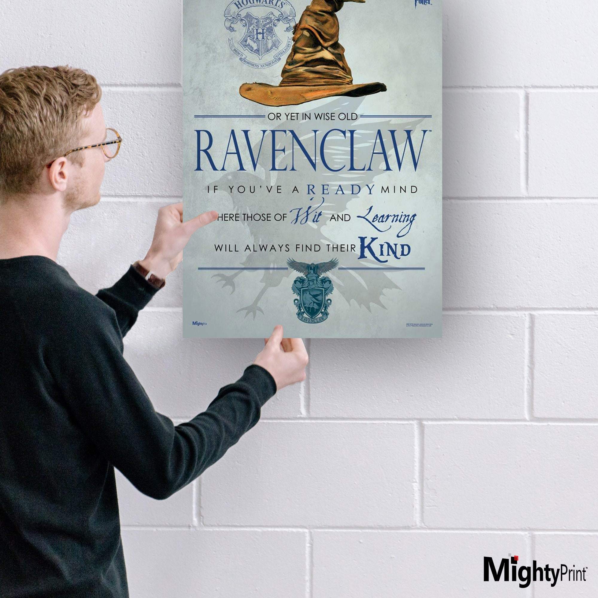 Harry Potter (Sorting Hat Ravenclaw) MightyPrint™ Wall Art MP17240185